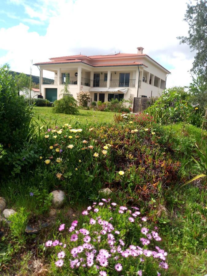 Casa Gaia Serpins